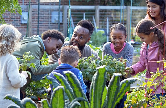 Group of people in a garden