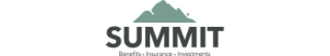 Summit National Partners