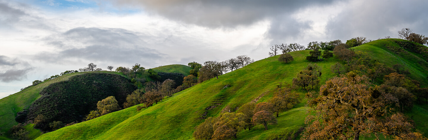 Cetera Investors | Walnut Creek